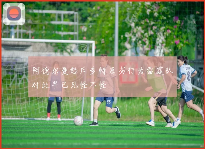 阿德尔曼怒斥多特恶劣行为雷霆队对此早已见怪不怪